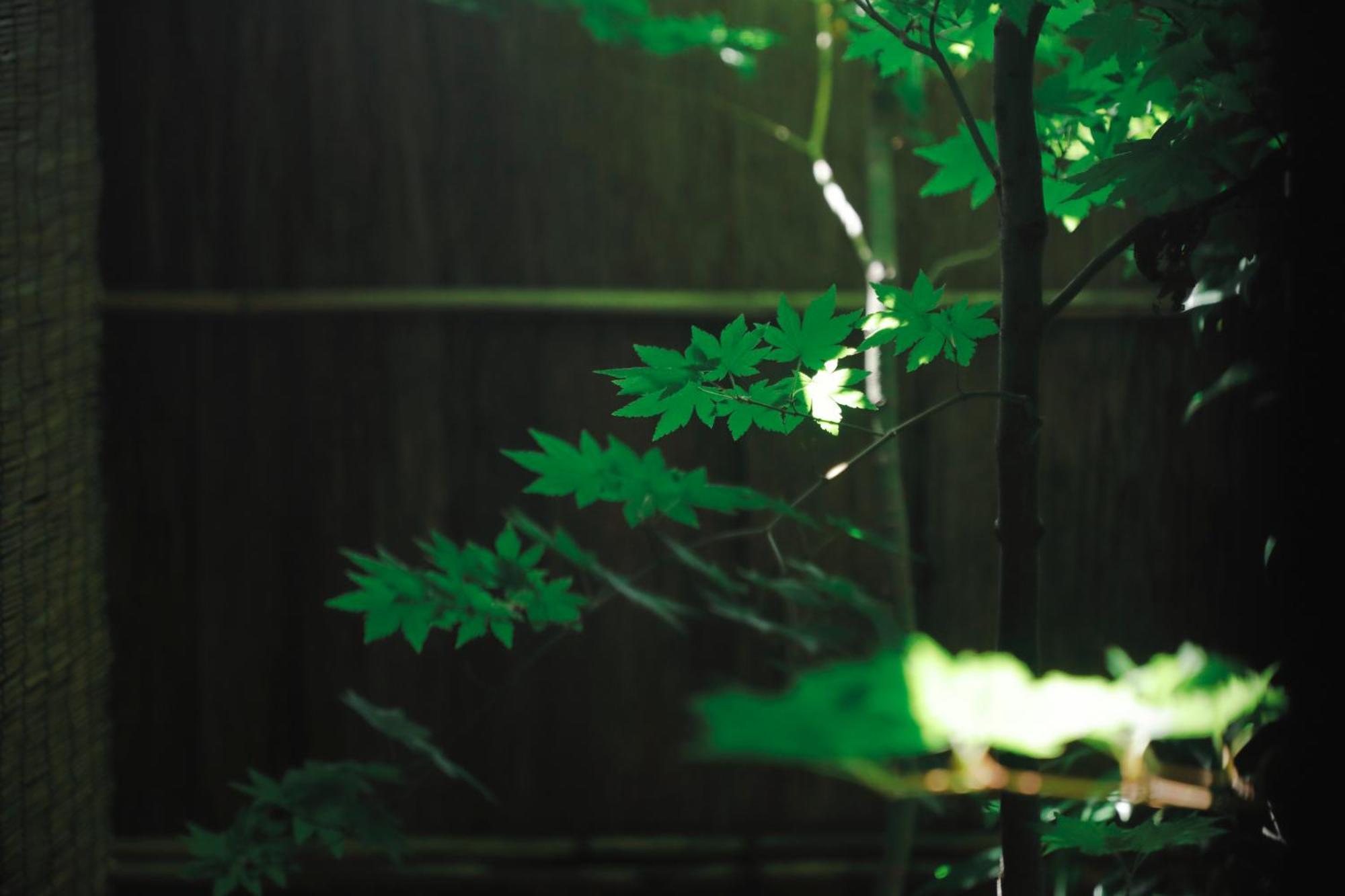 Tsukihi House Kyoto Villa Exterior photo